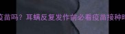 狗狗耳螨能打疫苗吗耳螨反复发作前必看疫苗接种时间表和注意事项