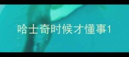 哈士奇时候才懂事