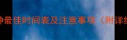 幼犬疫苗接种最佳时间表及注意事项附详细接种流程