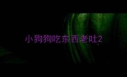 小狗狗吃东西老吐