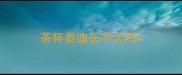 茶杯泰迪长不大吗