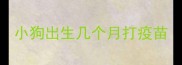 小狗出生几个月打疫苗