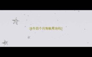 法牛四个月狗粮用泡吗