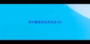 深圳哪里有拉布拉多犬