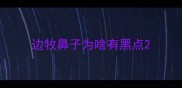 边牧鼻子为啥有黑点
