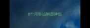 8个月泰迪胸部肿胀