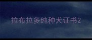拉布拉多纯种犬证书