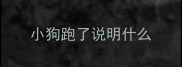 小狗跑了说明什么