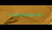 哈士奇可以吃的水果