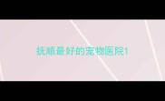 抚顺最好的宠物医院