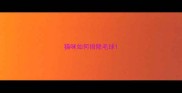 猫咪如何排除毛球