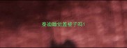 泰迪睡觉盖被子吗