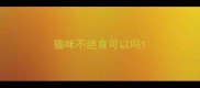 猫咪不绝育可以吗