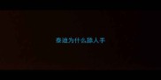 泰迪为什么舔人手