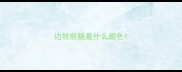 边牧前腿是什么颜色