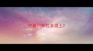 巴哥拉布拉多混上