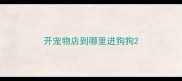 开宠物店到哪里进狗狗
