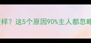 猫咪性格大变样这5个原因90主人都忽略附自救指南