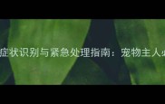 小狗前腿骨折症状识别与紧急处理指南宠物主人必读的5大要点