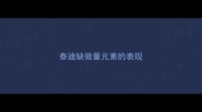 泰迪缺微量元素的表现