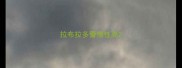 拉布拉多警惕性高