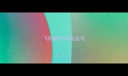 飞机随行托运金毛