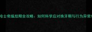 哈士奇尴尬期全攻略如何科学应对换牙期与行为异常