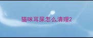 猫咪耳屎怎么清理