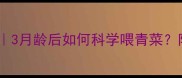 幼兔饮食全攻略3月龄后如何科学喂青菜附选菜避坑指南