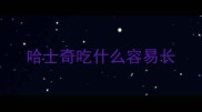 哈士奇吃什么容易长