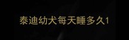泰迪幼犬每天睡多久