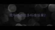 成年拉布拉多标准饭量