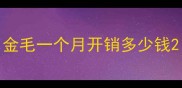 金毛一个月开销多少钱