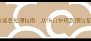 狗狗腿挠破紧急处理指南从伤口护理到预防复发全攻略