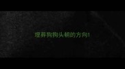 埋葬狗狗头朝的方向