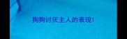 狗狗讨厌主人的表现