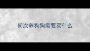 初次养狗狗需要买什么