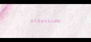 是不是金毛怎么辨别