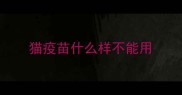猫疫苗什么样不能用