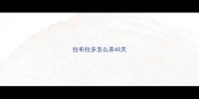 拉布拉多怎么养40天
