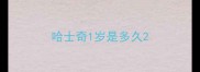 哈士奇1岁是多久