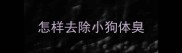 怎样去除小狗体臭