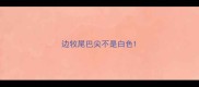 边牧尾巴尖不是白色