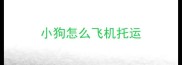 小狗怎么飞机托运