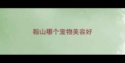 鞍山哪个宠物美容好