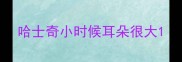 哈士奇小时候耳朵很大