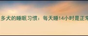 拉布拉多犬的睡眠习惯每天睡14小时是正常吗