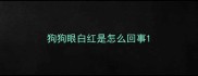狗狗眼白红是怎么回事