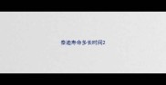 泰迪寿命多长时间