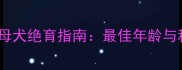 边境牧羊犬母犬绝育指南最佳年龄与科学操作全